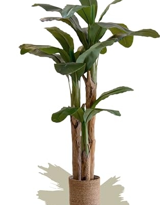 Product: Maia Shop 6ft Artificial Banana Tree Plant for House, Apartment or Office – Realistic Fake Indoor Plants for Living Room, Kitchen, Bedroom, Entryway or Bathroom – Faux Greenery for Home Décor