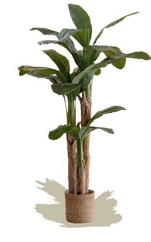 Product: Maia Shop 6ft Artificial Banana Tree Plant for House, Apartment or Office – Realistic Fake Indoor Plants for Living Room, Kitchen, Bedroom, Entryway or Bathroom – Faux Greenery for Home Décor