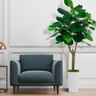 Product: SJSCYD Fiddle Leaf Fig Tree, 6ft Artificial Tree with White Tall Planter, Large Faux Plants Indoor, Fake Fig Tree in Pot for Home Office Bedroom Living Room Decor Garden Outdoor Housewarming Gift