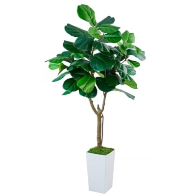 Product: SJSCYD Fiddle Leaf Fig Tree, 6ft Artificial Tree with White Tall Planter, Large Faux Plants Indoor, Fake Fig Tree in Pot for Home Office Bedroom Living Room Decor Garden Outdoor Housewarming Gift