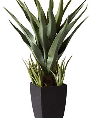 Product: Nearly Natural 30in. Agave Artificial Plant with Black Planter, Green and 48in. Dracaena Silk (Real Touch) Artificial Plant, 48", Green