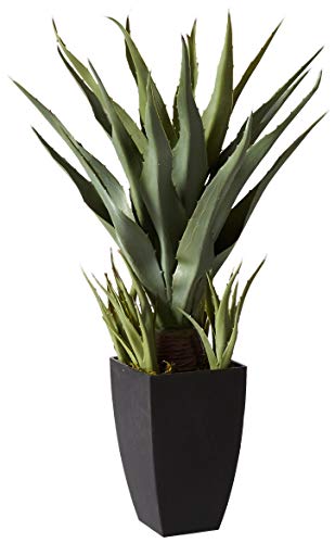 Product: Nearly Natural 30in. Agave Artificial Plant with Black Planter, Green and 48in. Dracaena Silk (Real Touch) Artificial Plant, 48", Green