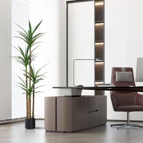 Silky Flower Store ProDeco Artificial Agave Yucca Tree, 6Ft Fake Plant 4 Heads Indoor Outdoor Floor Potted Decor, 6Ft 3 3 Product: ProDeco Artificial 6Ft Agave Yucca Trees Large Tall Fake Plants with 4 Heads Floor Silk Faux Potted Plants for Home Living Room Bedroom Office Decor Indoor Outdoor…