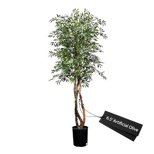 Cypress & Alabaster Handmade 6.5ft Mediterranean Olive Artificial Tree with Ethically Sourced Real Wood Trunks, Hypoallergenic, 6.5-Foot, Green - Artificial Flower Arrangements Product: Cypress & Alabaster Handmade 6.5ft Mediterranean Olive Artificial Tree with Ethically Sourced Real Wood Trunks, Hypoallergenic, 6.5-Foot, Green