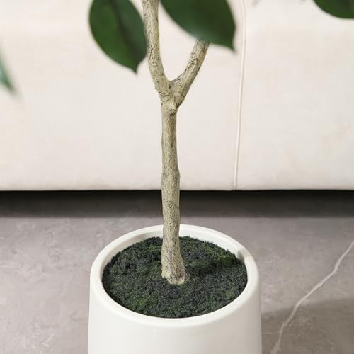 Product: OAKRED Artificial Ficus Tree, 6FT Fake Plastic Plants for Indoor, Faux Ficus Tree with White Planter, Tall Artificial Plants for Home Decor Indoor, Set of 1