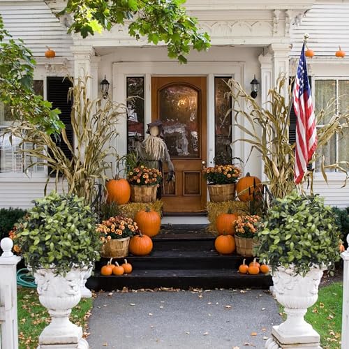 Silky Flower Store Artificial Boxwood Topiary Ball Trees, Outdoor Fall Decor Faux Shrubs, UV Resistant 2 Pack, 23in x 13in 6 6 Product: UNADRA 2-Pack Outdoor Fall Decor: Artificial Topiaries & Faux Boxwood Ball Trees for Front Porch - 23" Tall, 13" Diameter