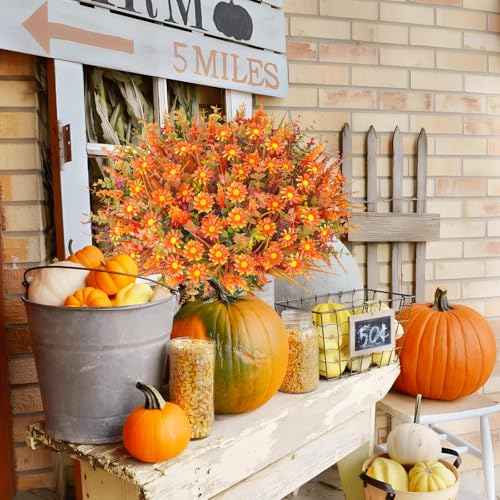 Silky Flower Store UV Resistant Faux Fall Flowers, Autumn Orange Daisy Eucalyptus Lavender Greenery, Outdoor Porch Patio Decor, 64 Pcs সেট 6 6 Product: Ruidazon 64 Pcs Outdoor Fall Flowers UV Resistant Faux Fall Plants with Fall Daisy Eucalyptus Lavender Artificial Autumn Flowers Greenery for Outside Home Porch Patio Thanksgiving Decoration