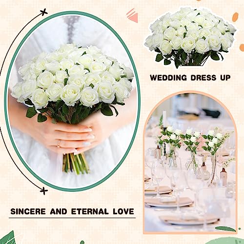 Silky Flower Store Artificial White Rose Flowers Bulk, Fake Silk Roses, 150 Pcs, Wedding Party Décor, 20in 4 4 Product: Tigeen 150 Pcs Artificial Rose Flowers Bulk, Fake Silk Roses Realistic Long Stem Flower Bouquets for Wedding Centerpieces Flower Arrangement Valentine's Day Home Party Decor(White)