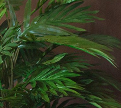 Silky Flower Store Nearly Natural Areca Palm Silk Plant in Urn, Artificial Indoor Faux Palm Decor for Home Office 32.5cm 11 11 Product: Nearly Natural Areca Palm Silk Plant in Urn - Lifelike Indoor Decor for Home & Office