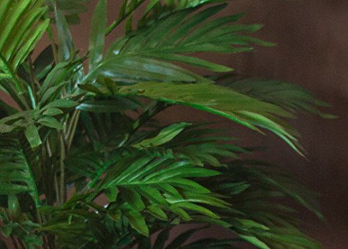 Silky Flower Store Nearly Natural Areca Palm Silk Plant in Urn, Artificial Indoor Faux Palm Decor for Home Office 32.5cm 4 4 Product: Nearly Natural Areca Palm Silk Plant in Urn - Lifelike Indoor Decor for Home & Office