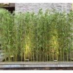 Product: Outdoor Artificial Bamboo Tree 3 4 5 ft 6 6.5 7 foot Tall, Fake Bamboo Silk Faux Tree Plant with Leaves for Garden Fence Privacy Decor Screen Courtyard Entrance ( Color : 10 Bamboo , Size : 1.8m/5.9ft
