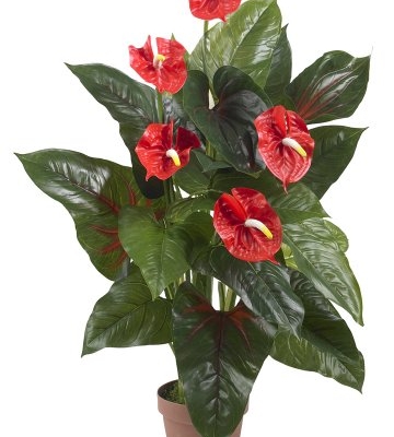 Product: Nearly Natural 3ft. Anthurium Silk Plant (Real Touch), Red