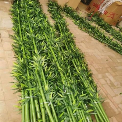 Silky Flower Store Large Artificial Bamboo Tree, Fake Silk Faux Decor, 10 Pack, Indoor Outdoor Greenery, 3ft 6.5ft 14 14 Product: Large Artificial Bamboo Plants Trees Outdoor Indoor 3ft 4ft 5ft 6ft 6.5ft Tall, Fake Bamboo Silk Faux Tree DIY Decor with Leaves for Garden Fence Privacy Screen Courtyard Entrance ( Color : 10 pack ,