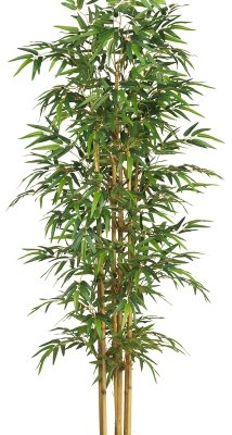 Product: Nearly Natural 75-in Artificial Bamboo Tree, Fake Bamboo Plants with 7 Natural Trunks, 6.25-ft Tall Faux Plants for Indoor Home Decor with 1440 Realistic Fake Leaves