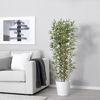 Silky Flower Store Artificial Bamboo Silk Tree, Faux Indoor Outdoor Greenery, 6ft 72 Inch 10 10 Product: Artificial Bamboo Silk Tree 6ft Fake Greenery Plants in Pot 72 Inch for Home Office Indoor Outdoor Decor