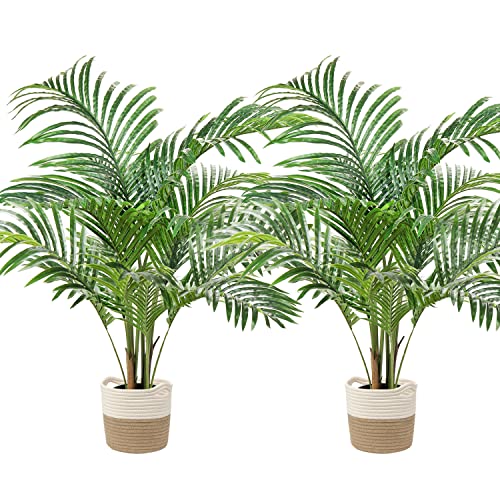 Product: Artificial Palm Silk Tree Plant 4ft Fake Tropical Bonsai Plants 48 Inch with Black Plastic Pot for Outdoor Indoor Home Office Decorations, 2 Pack