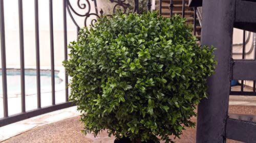 Product: 24" Tall 16” Round Artificial Topiary Ball Boxwood Trees (Set of 2) by Northwood Calliger | Highly Realistic Potted Shrubs for Indoor/Outdoor | UV Protected