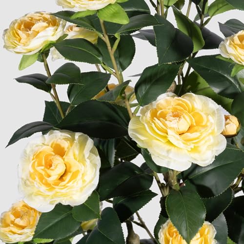 Silky Flower Store Artificial Camellia Tree, Yellow Faux Camellia Plant, Indoor Outdoor Home Office Decor, 3FT 2Pack 1 1 Product: Romantic Season 2Pack Artificial Camellia Tree, 3FT Yellow Faux Camellia Plant for Modern Home, Office & Living Room Floor Decor
