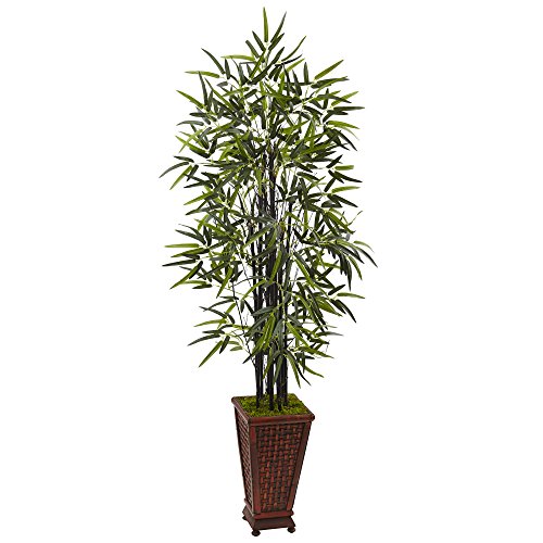 Product: Nearly Natural 5.5ft. Black Bamboo Artificial Tree in Decorative Planter