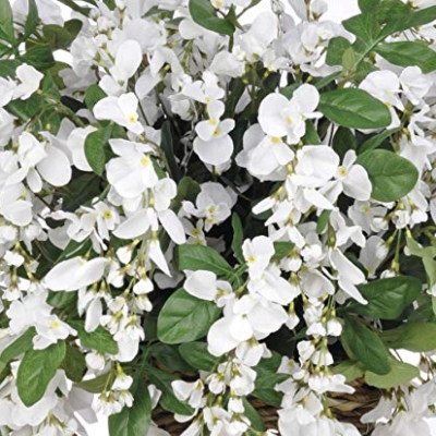 Silky Flower Store Artificial White Wisteria Hanging Basket, Faux Floral Hanging Basket, 22in Diameter 13in Tall 5 5 Product: House of Silk Flowers Artificial White Wisteria Hanging Basket