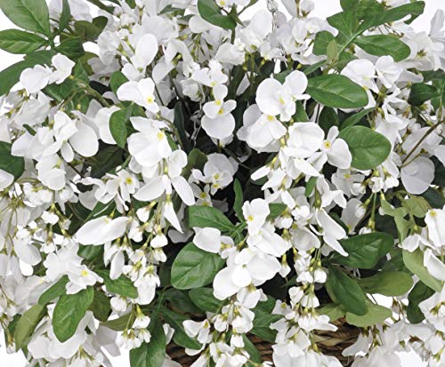 Silky Flower Store Artificial White Wisteria Hanging Basket, Faux Floral Hanging Basket, 22in Diameter 13in Tall 2 2 Product: House of Silk Flowers Artificial White Wisteria Hanging Basket