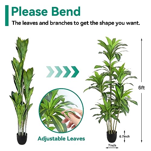 Product: Waoops Artificial Plants 6Ft Dracaena Fragrans Faux Trees with 8 Heads Fake Tree for Home Decor Indoor or Outdoor Office Decoration Housewarming Gift