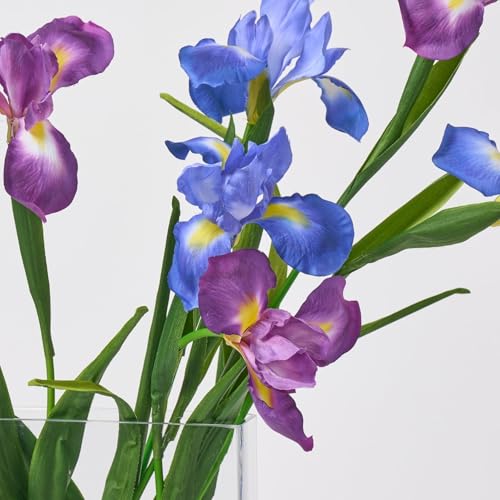 Silky Flower Store Real Touch Artificial Periwinkle Purple Iris Stems, Faux Lavender Violet Flowers, Home Office Decor 32.5cm 2 2 Product: Vibrant Periwinkle & Purple Iris Stems - Real Touch DIY Artificial Flowers for Home Decor & Office Ambiance