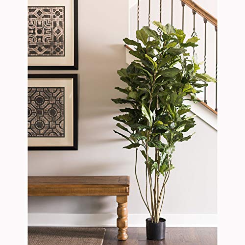 Silky Flower Store Faux Fiddle Leaf Fig Tree, 6ft Tall Green Silk Artificial Indoor Plant, 204 Large Leaves Multiple Stems, Home Office Decor 6ft 7 7 Product: Vickerman Everyday Faux Fiddle Leaf Fig Tree 6ft Tall Green Silk Artificial Indoor Fiddle Plant with 204 Large Fiddle Leaves and Multiple Stems Home Office Decor