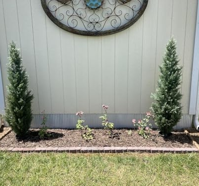 Product: COMUSTER 4FT Artificial Cedar Topiary Trees for Outdoors Potted Fake Cypress Trees Faux Evergreen Plants for Home Porch Decor Set of 2
