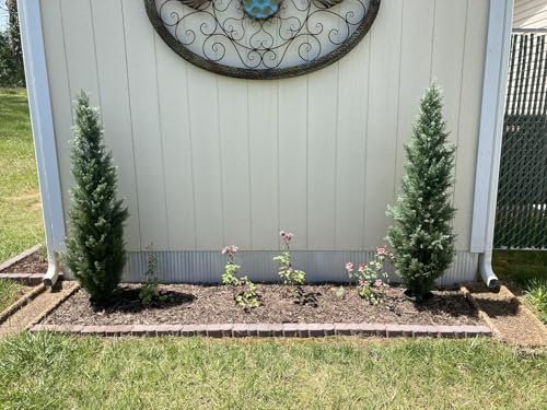 Product: COMUSTER 4FT Artificial Cedar Topiary Trees for Outdoors Potted Fake Cypress Trees Faux Evergreen Plants for Home Porch Decor Set of 2