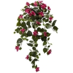 Product: Nearly Natural 37” Bougainvillea Hanging (Set of 2) Artificial Plant, Beauty