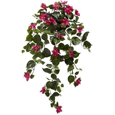 Product: Nearly Natural 37” Bougainvillea Hanging (Set of 2) Artificial Plant, Beauty