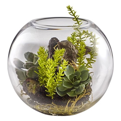 Product: Nearly Natural Mix Succulent Garden with Glass Vase