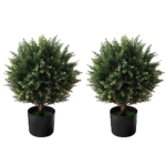 Product: AUMMOOH Boxwood Artificial Cedar Topiary Ball Trees – Decorative Fake Greenery in Planter Pots for Front Porch, Outdoor Walkway, Entryway Decorating, Set of 2