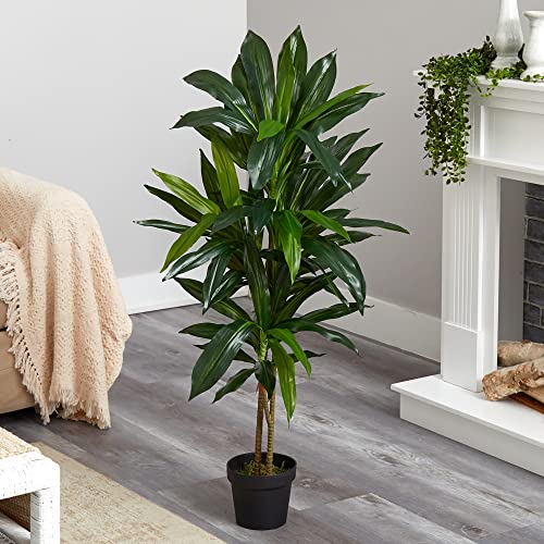 Product: Nearly Natural 30in. Agave Artificial Plant with Black Planter, Green and 48in. Dracaena Silk (Real Touch) Artificial Plant, 48", Green