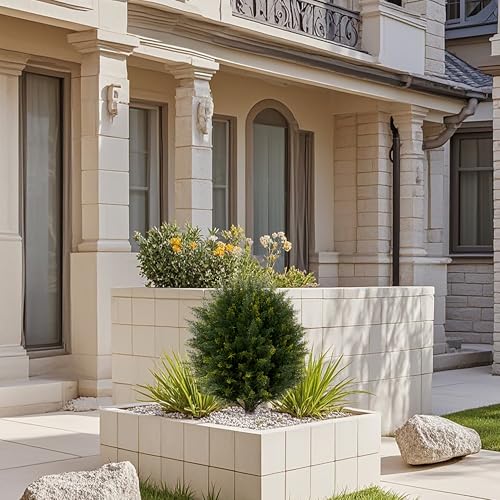 Product: Artificial Cedar Topiary Ball Tree Two 22''T Artificial Shrub Plants UV Resistant Potted Bushes for Front Porch Home Garden Indoor Outdoor