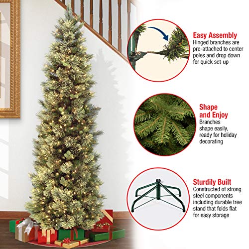Product: National Tree Company Pre-lit Artificial Christmas Tree | Includes Pre-strung White Lights and Stand | Carolina Pine Slim - 6.5 ft