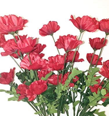Silky Flower Store Artificial Red Poppy Stems, 10 Pack Wild Flowers with Leaves, 4 Heads Each, 45cm 16 16 Product: 10 x Red Poppy Stems 45cm Artificial Flowers 4 Flower Heads per Stem Wild Red Poppies with Leaves