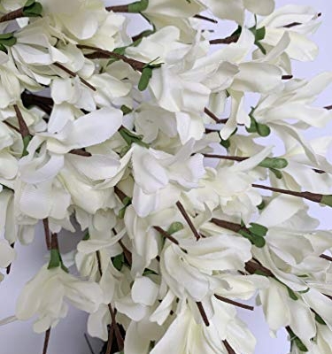 Silky Flower Store 24 Inch Forsythia Wreath, White Cream Artificial Spring Summer Front Door Decor, 24 Inch 10 10 Product: Summer Wreath for Front Door, 24 Inch White Cream Forsythia Summer Spring Wreath Blossom Cluster Flower Farmhouse on Grapevine for Christmas Festival Celebration Front Door Wall Window Hanging Décor
