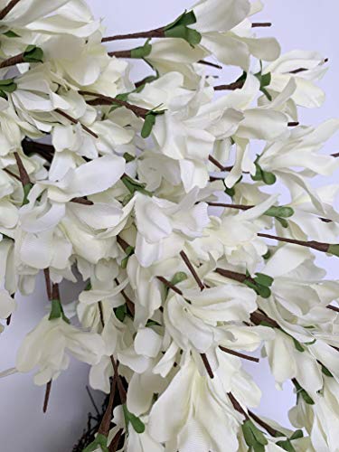 Silky Flower Store 24 Inch Forsythia Wreath, White Cream Artificial Spring Summer Front Door Decor, 24 Inch 4 4 Product: Summer Wreath for Front Door, 24 Inch White Cream Forsythia Summer Spring Wreath Blossom Cluster Flower Farmhouse on Grapevine for Christmas Festival Celebration Front Door Wall Window Hanging Décor