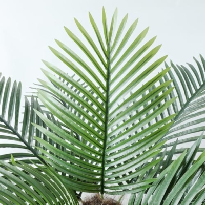 Product: Nafresh 8ft Tall UV Resistant Faux Palm Tree, 96in Artificial Palm Tree Indoor Outdoor, Fake Tree with Real Bark and Realistic Leaves and for Home House Office Living Room Yard Patio.
