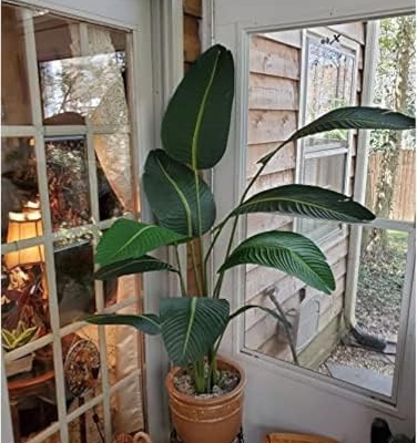 Product: Bagari One 5 Foot Artificial Silk Bird of Paradise Palm Tree Potted Plant