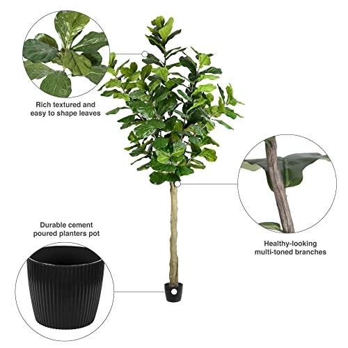 Silky Flower Store Faux Fiddle Leaf Fig Tree, Vickerman Artificial Indoor Decor, Green Silk Plant, 10ft Tall 7 7 Product: Vickerman Everyday Faux Fiddle Leaf Fig Tree 10ft Tall Green Silk Artificial Indoor Fiddle Plant With 184 Large Fiddle Leaves Single Stem Home Office Decor