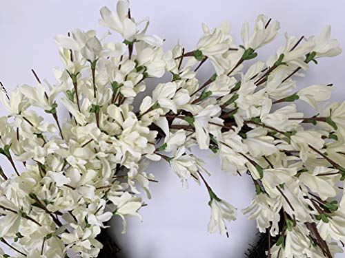 Silky Flower Store 24 Inch Forsythia Wreath, White Cream Artificial Spring Summer Front Door Decor, 24 Inch 3 3 Product: Summer Wreath for Front Door, 24 Inch White Cream Forsythia Summer Spring Wreath Blossom Cluster Flower Farmhouse on Grapevine for Christmas Festival Celebration Front Door Wall Window Hanging Décor