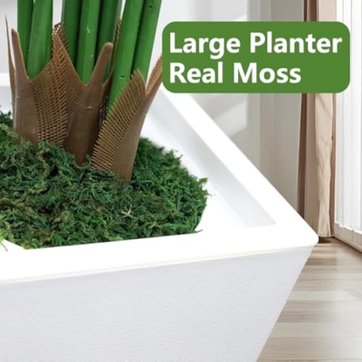 Silky Flower Store 6FT Artificial Palm Tree, 18 Adjustable Branches, White Pot, Indoor Faux Tropical Decor, 6FT 14 14 Product: 6FT Artificial Palm Tree with 18 Adjustable Branches and White Pot, Large Tall Realistic Indoor Faux Fake Silk Tropical Areca Palm Plant for Housewarming, Home and Office Decor