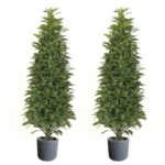 Product: Gonuien Artificial Topiary Tree 3.2FT(39") Outdoor Evergreens in Outdoor Artificial Shrub Potted Plant Plant for Indoor Porch of Home and Office 2 Pieces a Set Topiary Trees Faux Boxwood