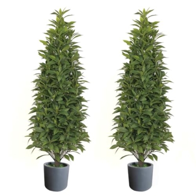 Product: Gonuien Artificial Topiary Tree 3.2FT(39") Outdoor Evergreens in Outdoor Artificial Shrub Potted Plant Plant for Indoor Porch of Home and Office 2 Pieces a Set Topiary Trees Faux Boxwood