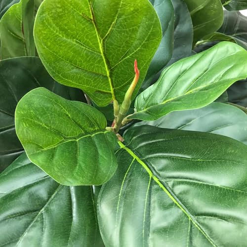 Product: 6' Real Touch Fiddle Leaf Fig Silk Tree w/Pot -105 Leaves -Green