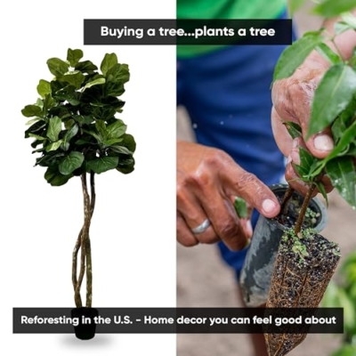 Silky Flower Store Fiddle Leaf Fig Artificial Tree, Cypress & Alabaster Handmade Green Faux Tree, Real Wood Trunk, 6ft 10 10 Product: Cypress & Alabaster Handmade 6ft Fiddle Leaf Fig Ficus Lyrata Artificial Tree with Ethically Sourced Real Wood Trunks, Hypoallergenic, 6-Foot, Green
