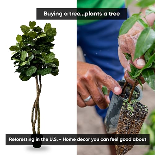 Silky Flower Store Fiddle Leaf Fig Artificial Tree, Cypress & Alabaster Handmade Green Faux Tree, Real Wood Trunk, 6ft 1 1 Product: Cypress & Alabaster Handmade 6ft Fiddle Leaf Fig Ficus Lyrata Artificial Tree with Ethically Sourced Real Wood Trunks, Hypoallergenic, 6-Foot, Green